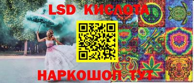 гашик Волжский