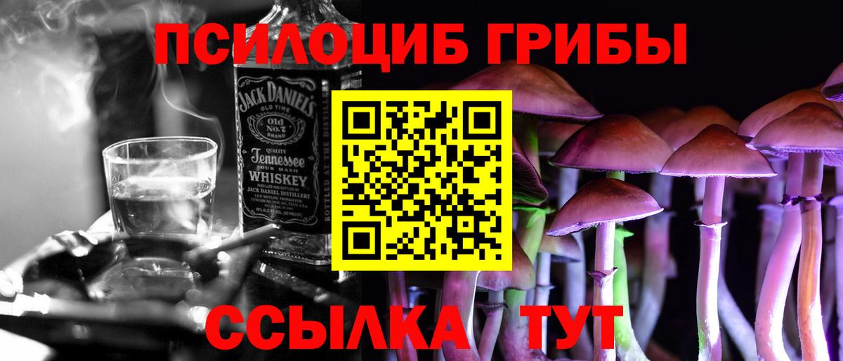 Псилоцибиновые грибы Psilocybine cubensis Беслан